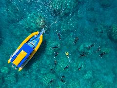 MORNING Half Day Splash | Reef and Snorkel Adventure