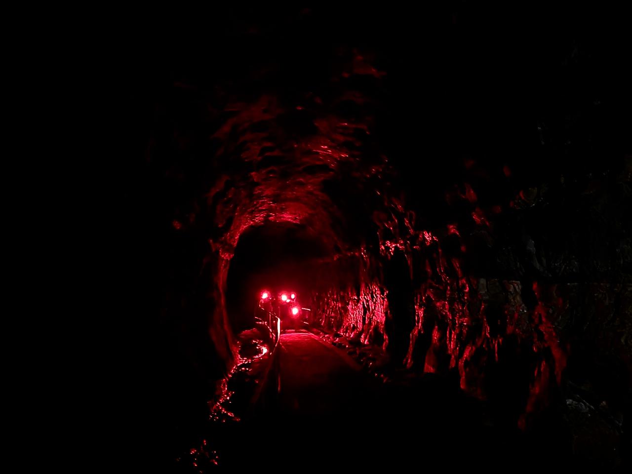Glowworm Day trip
