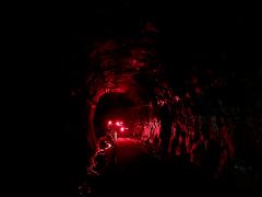 Glowworm Day trip