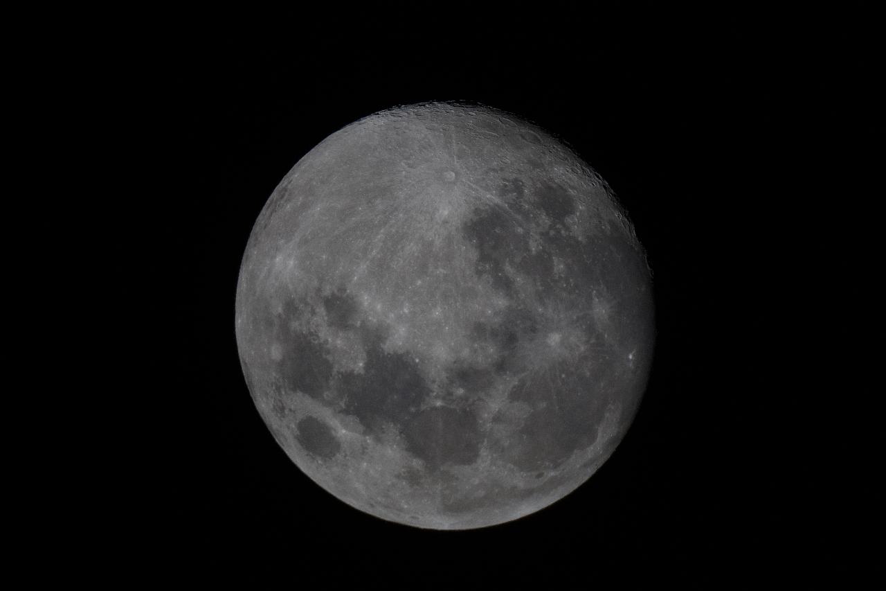 Backyard Stargazing Session Sydney