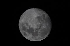 Backyard Stargazing Session Sydney