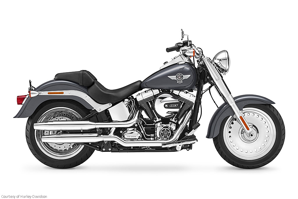 Harley-Davidson® Softail® Fat Boy® (CNS)