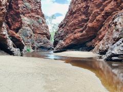 2 hour Simpsons gap