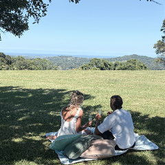 Sunday Picnics at Elysian Hills