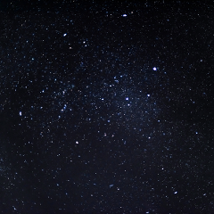 Picnics Under the Night Sky | A Curated Evening at Elysian Hills 