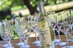 Private Fredericksburg Wine Tour (Pick Up Outside Fredericksburg)
