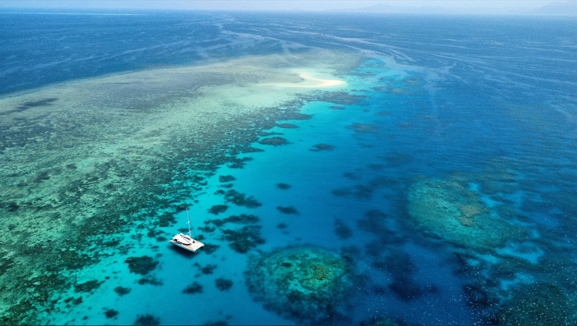 Outer Reef - Mackay Coral Cay