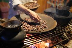 Experiencia Ancestral del Cacao