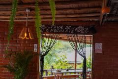 Cacao Farm and Chocolate Factory Tour in English