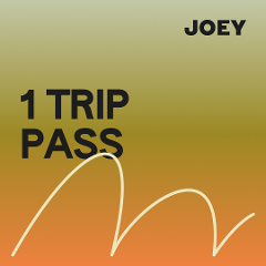 1 Trip Pass