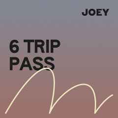 6 Trip Pass
