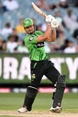 Hosted Big Bash League Cricket