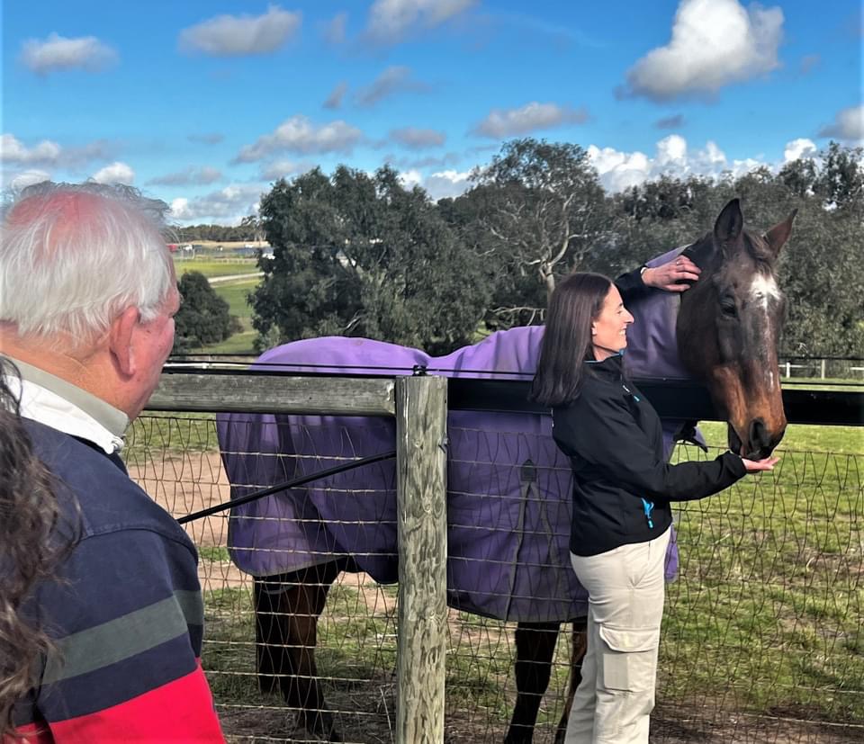 Horses, Wine & Beer Tour
