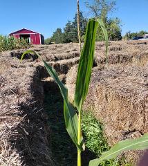 Countryside Outing Pennsylvania - Farming & Dining