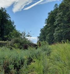 A Day in Nyack, NY - A Quaint Cultural Village  