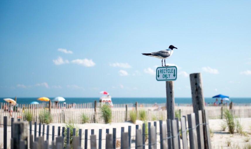   Cape May Summer Outing
