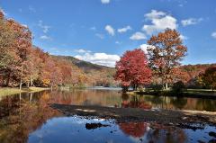 Lake George Foliage Experience 