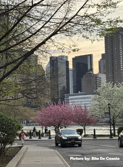 A-1 Tours Iconic New York  City Private Tour 