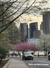 A-1 Tours Iconic New York  City Private Tour 