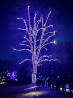 Du Pont Legacy Tour Part 3 - Christmas at Longwood Gardens  
