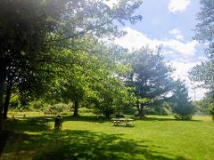 Storm King Art Center – A Day of Art, Nature & Inspiration