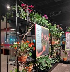 Philadelphia Flower Show - NJ Departures 