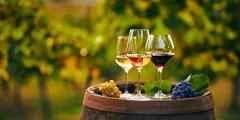 Wine Tour