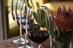 Hunter Valley Social Wine Experience
