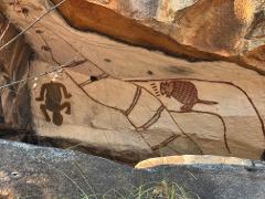 Kupungarri Rock Art Walking Tour