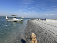 2 Hour Charter