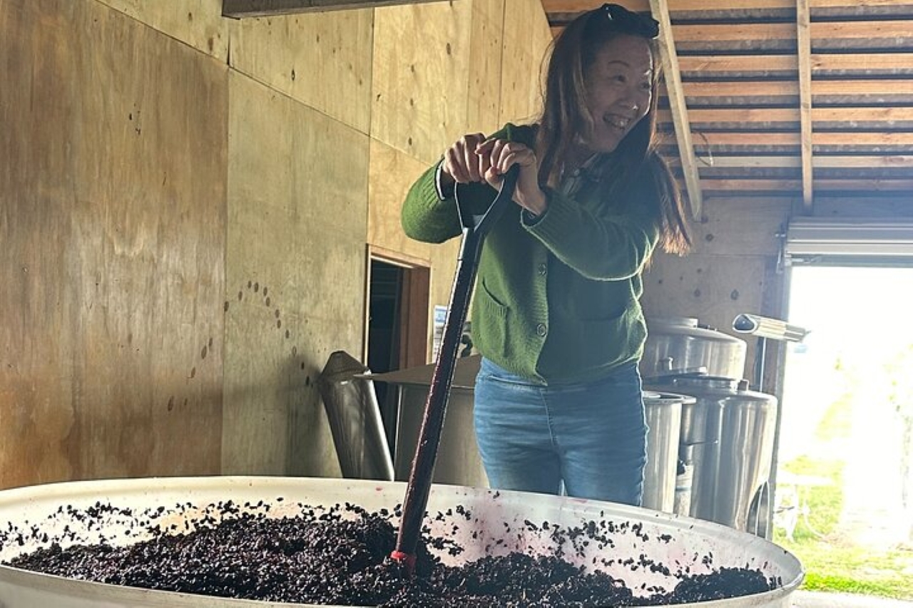 Kosher Tours and Travel: Chef's Private Martinborough Wine Tour with Lunch from Wellington (GYG) - Photo 6