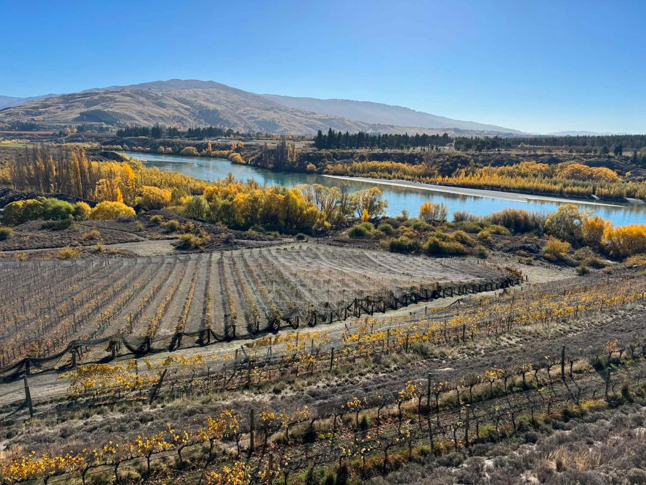 Kosher Tours and Travel: Chef's Private Otago Wine Tour & Gourmet Lunch from Queenstown - Photo 14