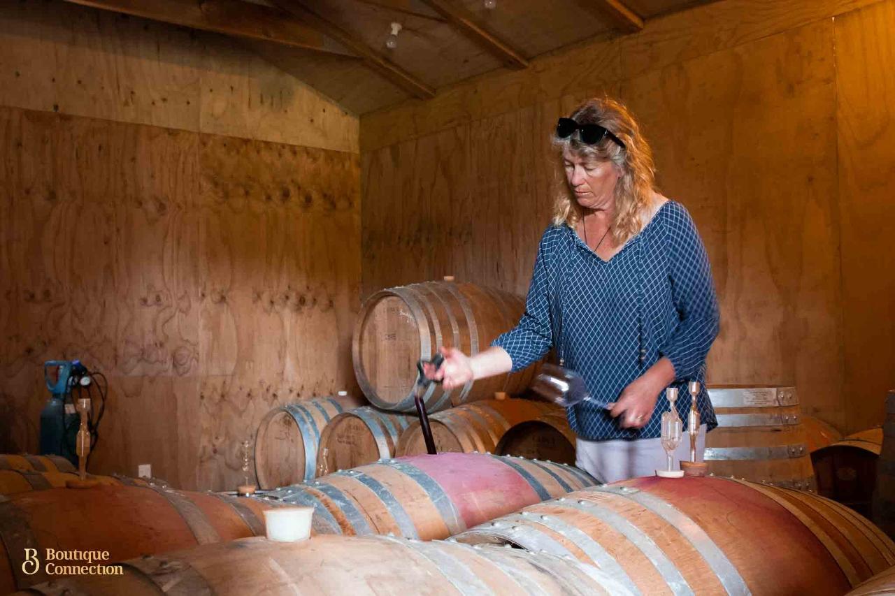 Kosher Tours and Travel: Chef's Private Martinborough Wine Tour with Lunch from Wellington - Photo 4