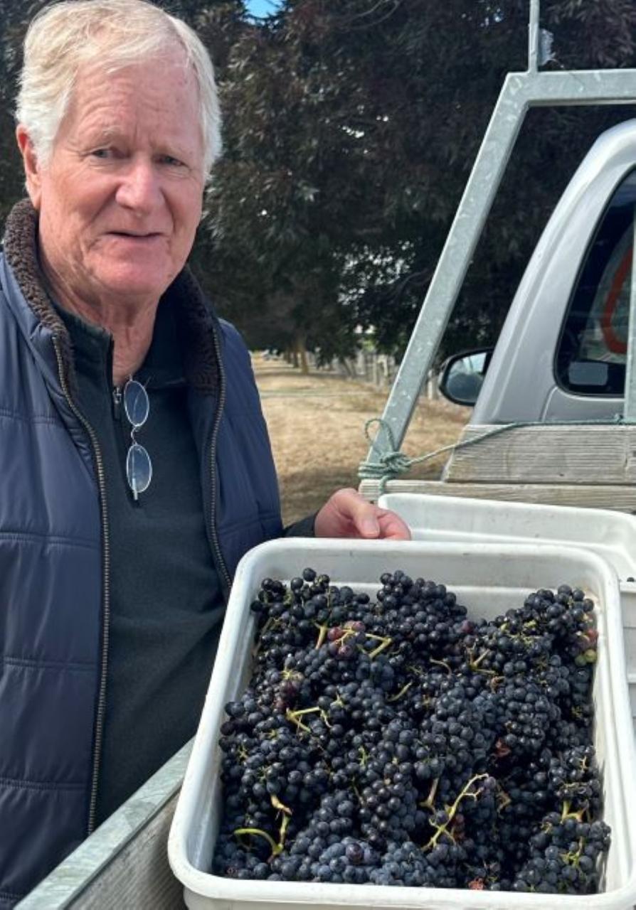 Kosher Tours and Travel: Fellowship of the Vine Tour — Martinborough - Photo 9