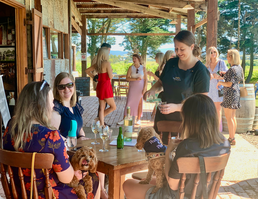 Full Day Wine Tour with your Dog