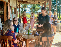 Full Day Wine Tour with your Dog
