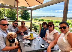 Half Day Wine Tour with your Dog