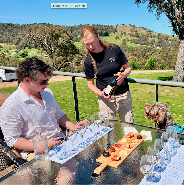 Degustation Tour with your Dog