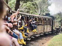 Fun, Guided Family Tour of the Yarra Valley
