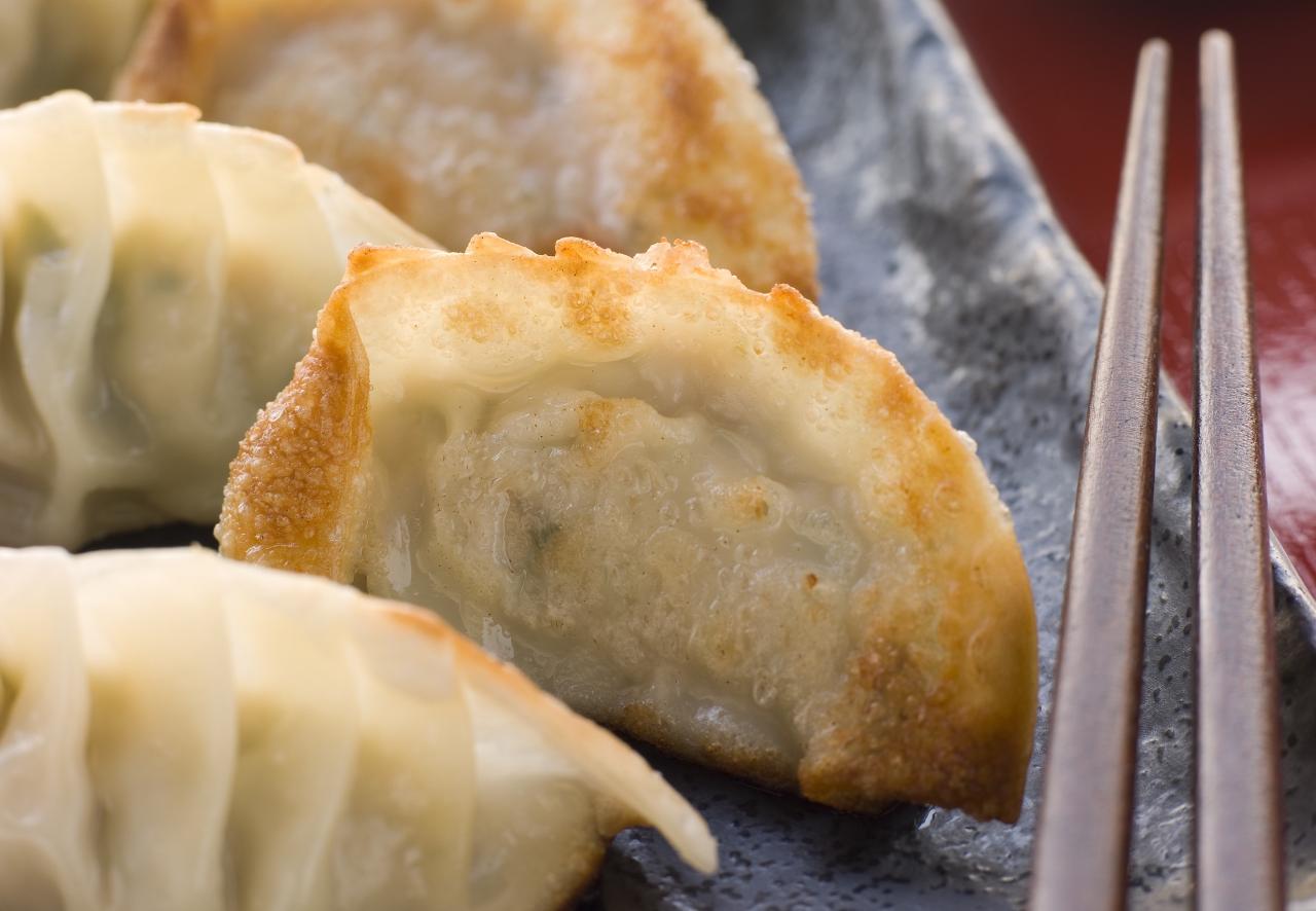 DIY Dumplings & Gyoza