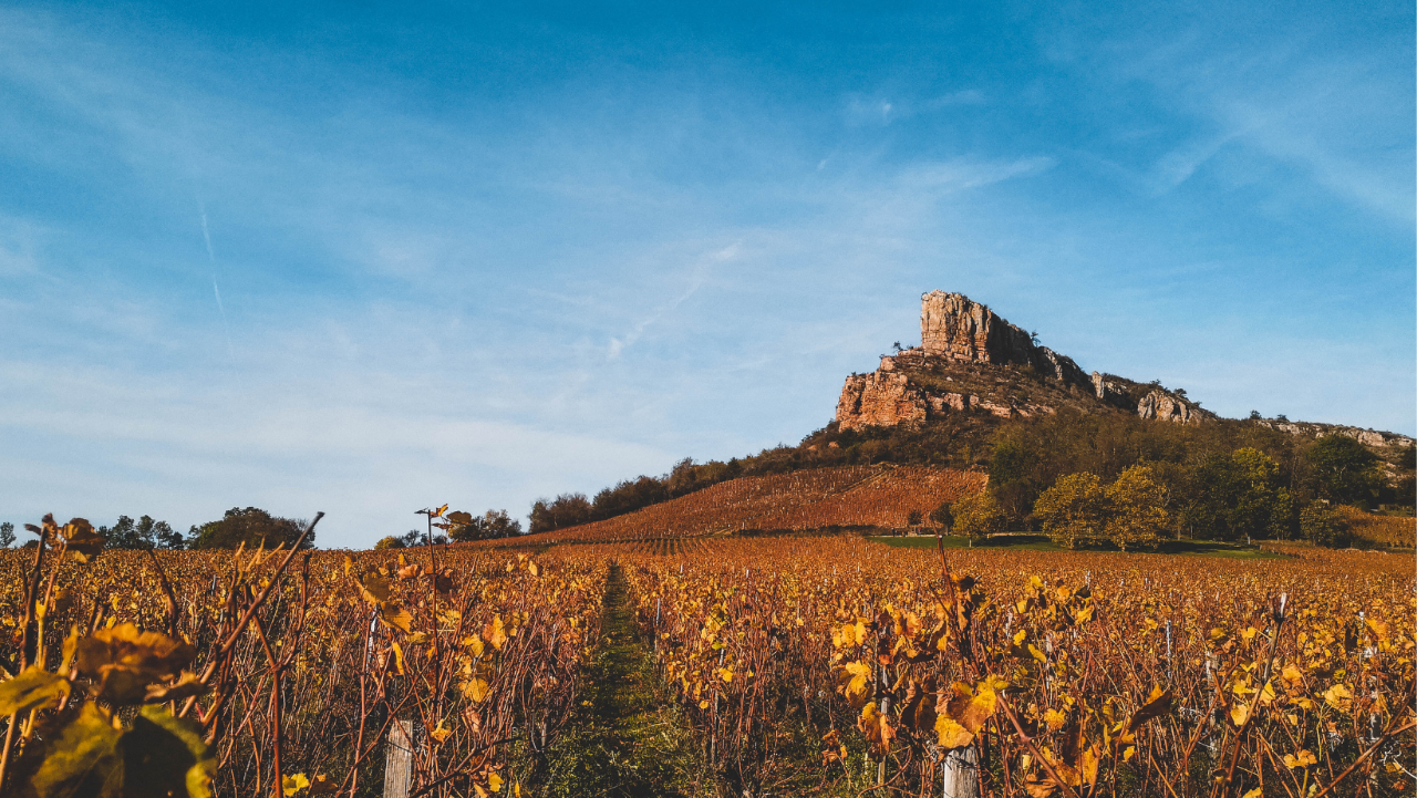 Ride through the Heart of Burgundy