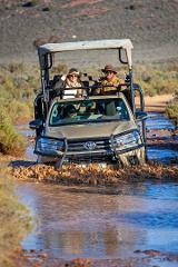 One Day Safari Tour