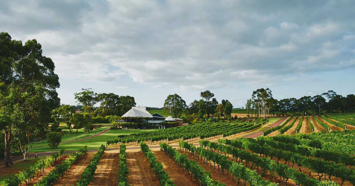 Vasse Felix Gourmet Chauffeur | Private Driver