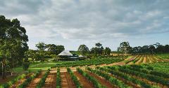 Vasse Felix Gourmet Chauffeur 12PM | 5 Course Tasting Menu