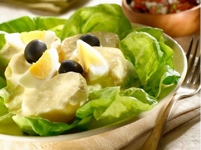 South American BBQ - Centennial Park, Sydney