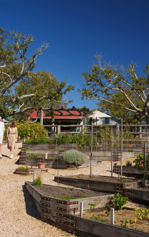 Market Garden Tour