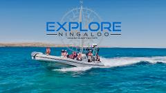 Ultimate Ningaloo Day Package