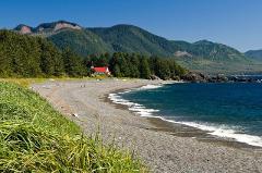 Friendly Cove Half Day Guided Tour