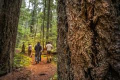 Coastal Rainforest Trek: more than a nature walk.