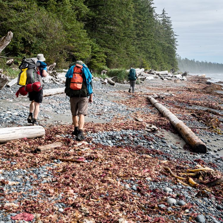 Nootka Trail Weekly Hiking Trail Access Pass